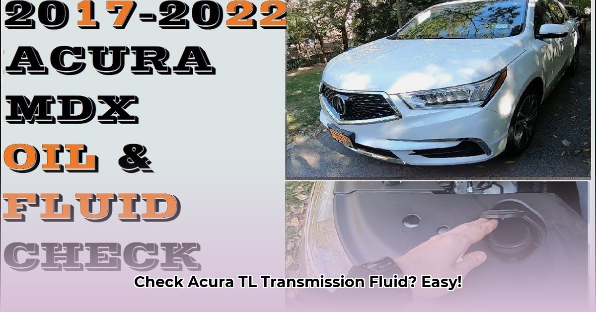 how-to-check-trans-fluid-on-007-acura-tl
